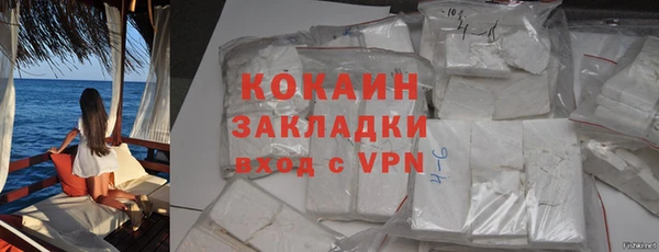 прущие грибы Баксан