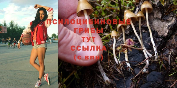 мескалин Балахна