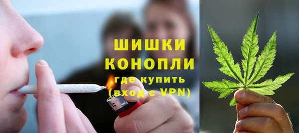 прущие грибы Баксан