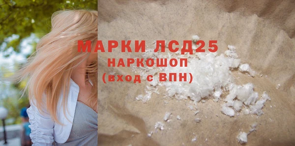 индика Гусиноозёрск